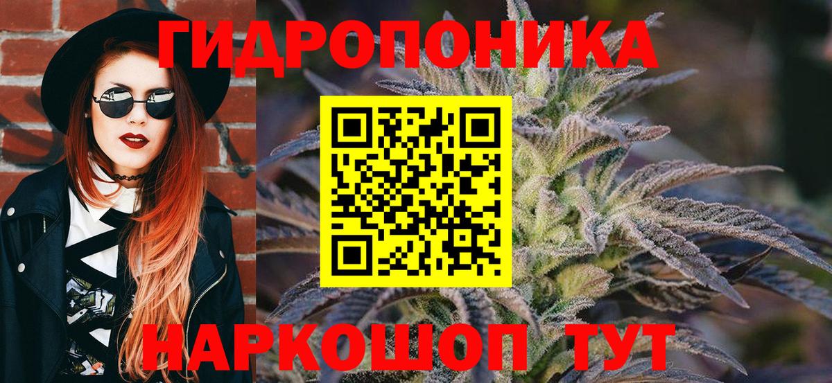 Соликамск  Бошки марихуана White Widow  Конопля VHQ  Вход с VPN  Марихуана план  Бошки Шишки Bruce Banner 